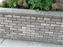 IMG_5183(2)-3